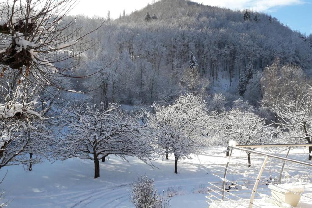 Gite "Entre Champsaur Et Valgodemard" Saint-Jacques-en-Valgodemard Dış mekan fotoğraf