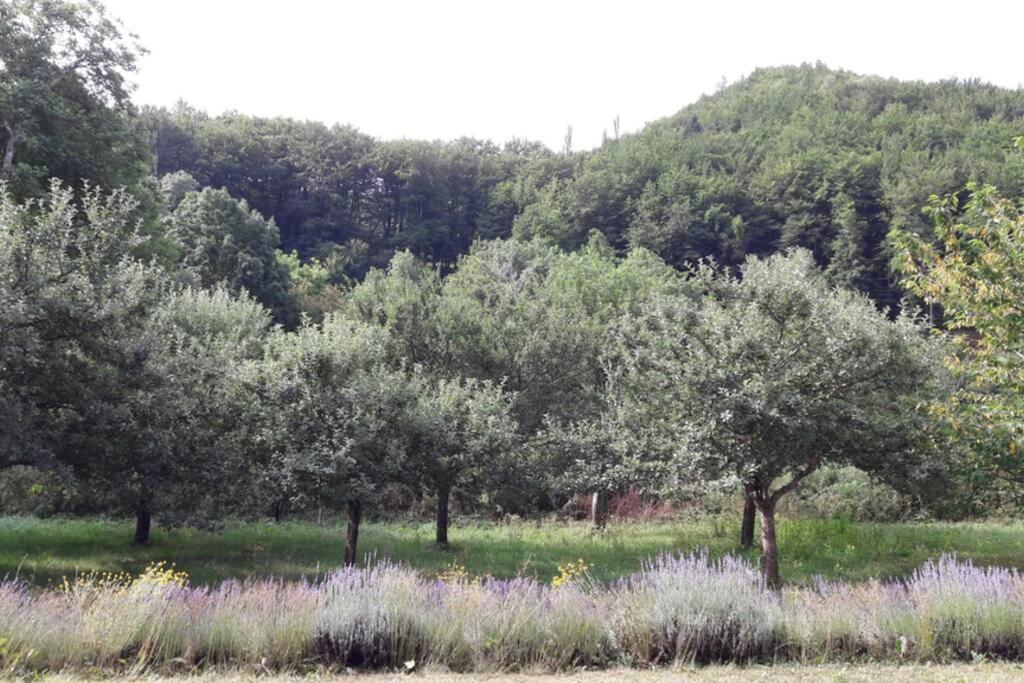 Gite "Entre Champsaur Et Valgodemard" Saint-Jacques-en-Valgodemard Dış mekan fotoğraf