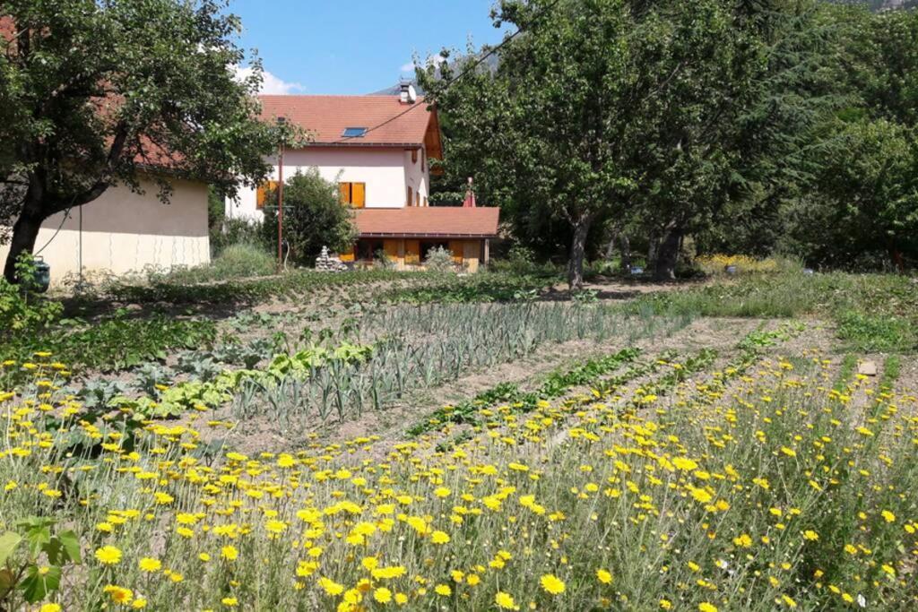Gite "Entre Champsaur Et Valgodemard" Saint-Jacques-en-Valgodemard Dış mekan fotoğraf